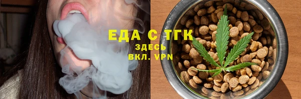 дживик Верхний Тагил