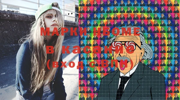 дживик Верхний Тагил