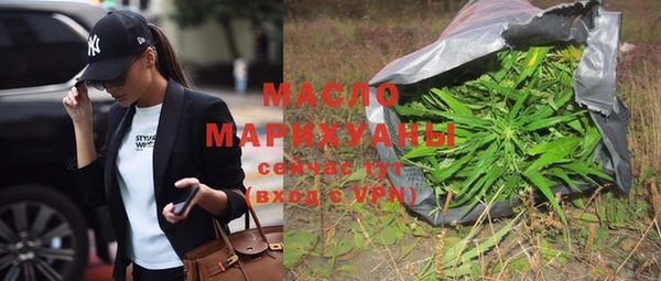 дживик Верхний Тагил