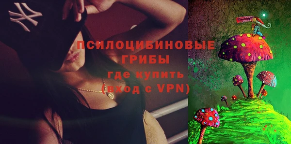 соль ск Верея