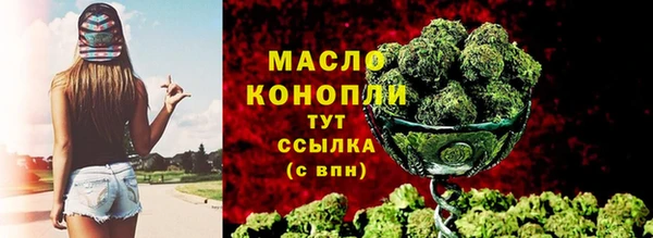 дживик Верхний Тагил